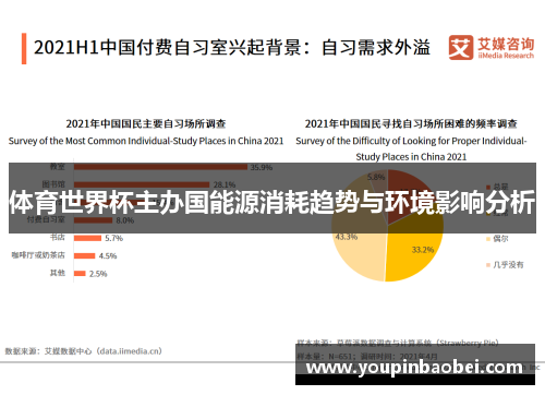 体育世界杯主办国能源消耗趋势与环境影响分析